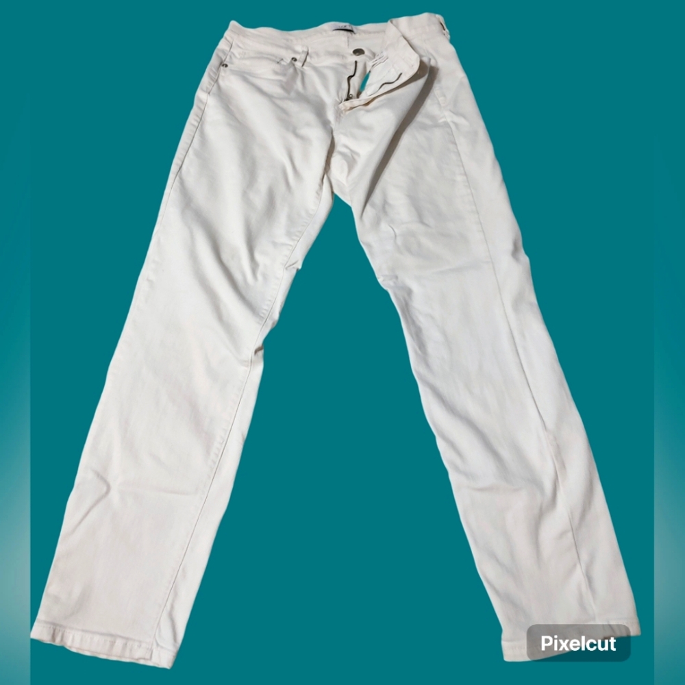 Women's LOFT Jean